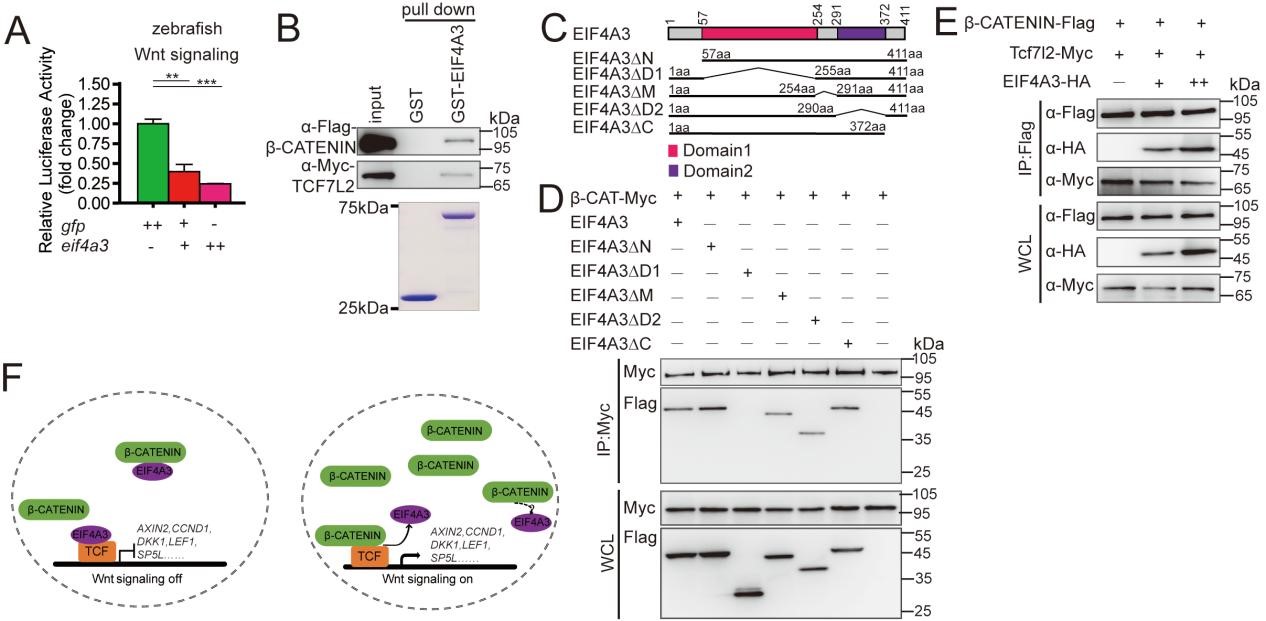 Fig1