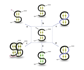 G:\ͼ\fig-3.png